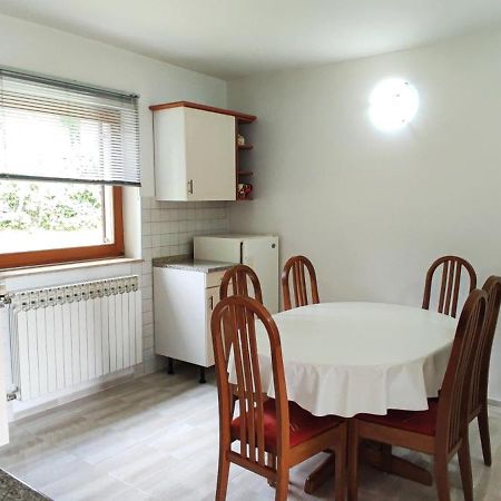 Guest House Kolic Drežnik Grad Buitenkant foto
