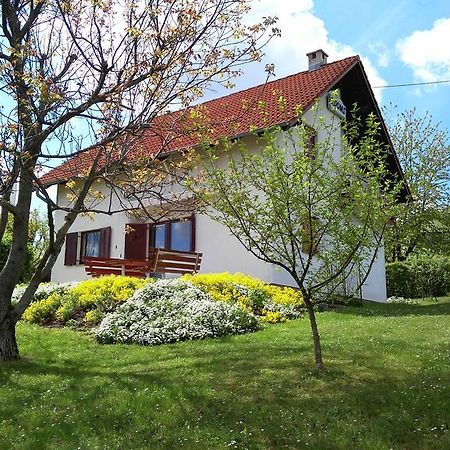 Guest House Kolic Drežnik Grad Buitenkant foto