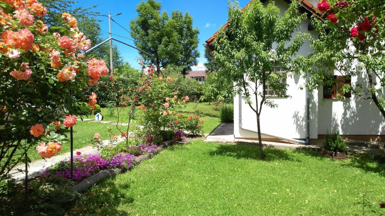 Guest House Kolic Drežnik Grad Buitenkant foto