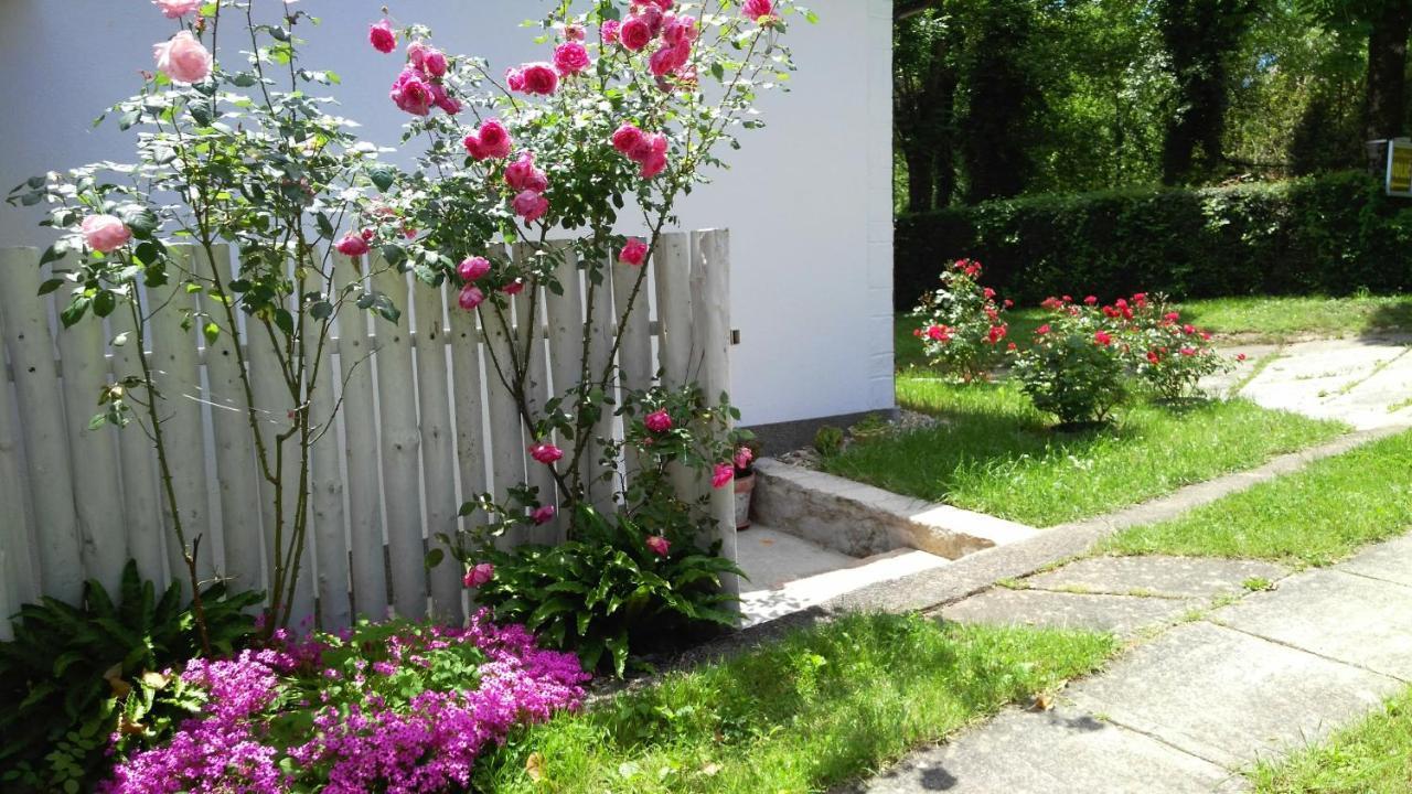 Guest House Kolic Drežnik Grad Buitenkant foto
