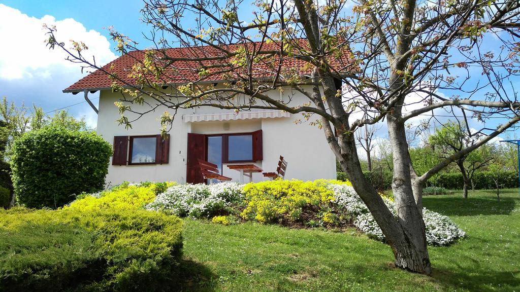 Guest House Kolic Drežnik Grad Buitenkant foto